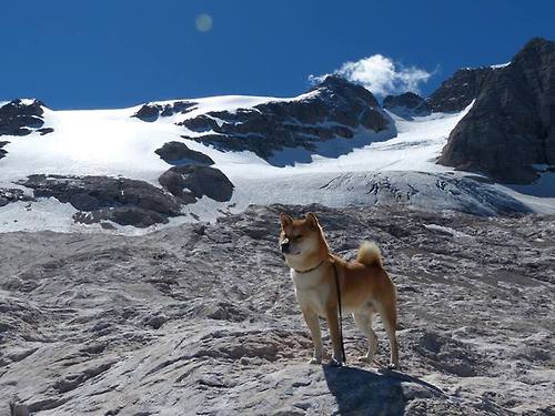 开云·体育官网APP下载-CS2 赛事规则优化促进公平竞技，cs2ge